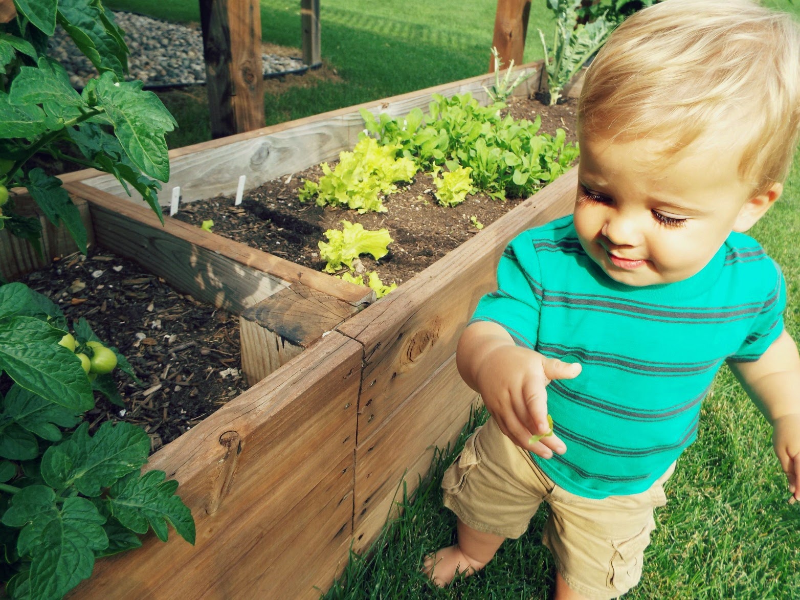 Gardening with Your Baby: 10 Things You Need to Know